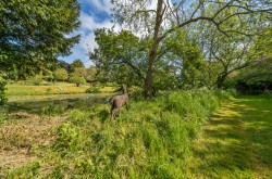Images for Lavenham, Suffolk, Sudbury