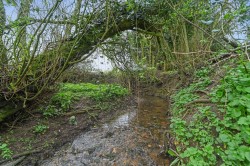 Images for Stowmarket, Suffolk, Stowmarket