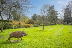 Images for Suffolk, Ipswich