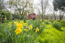 Images for Suffolk, Ipswich