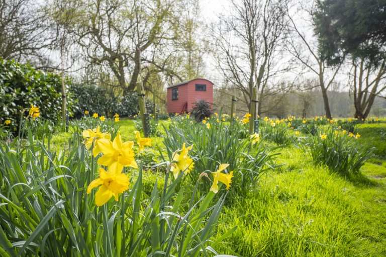 Images for Suffolk, Ipswich