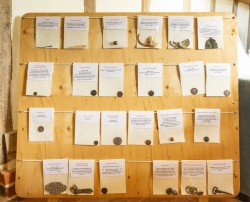 Images for Sudbury, Suffolk, Sudbury