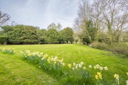 Images for Suffolk, Sudbury
