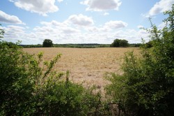 Images for Sible Hedingham, Essex, Halstead