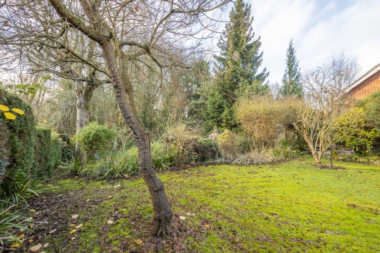 Images for Sudbury, Suffolk, Sudbury