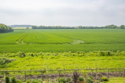 Images for Sudbury, Suffolk, Sudbury