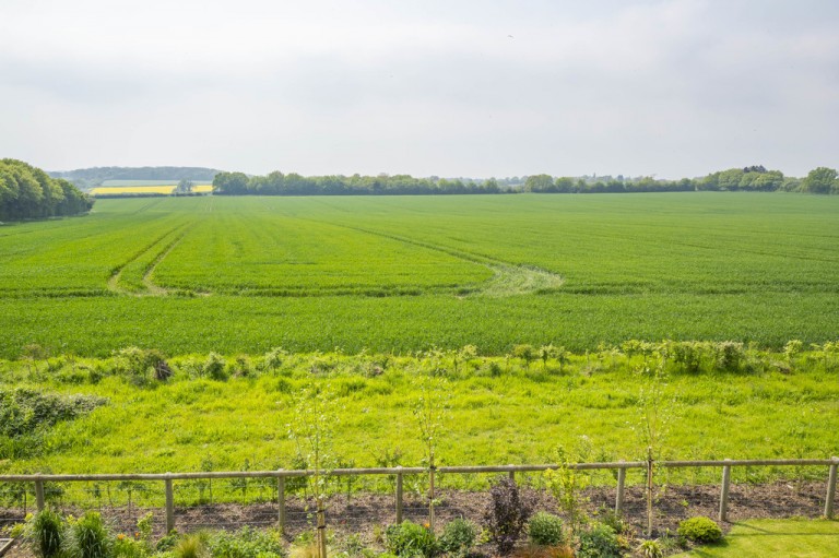 Images for Sudbury, Suffolk, Sudbury