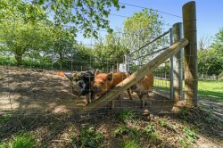 Images for Bures, Essex, Bures