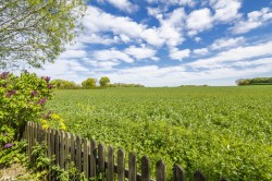 Images for Sudbury, Suffolk, Sudbury