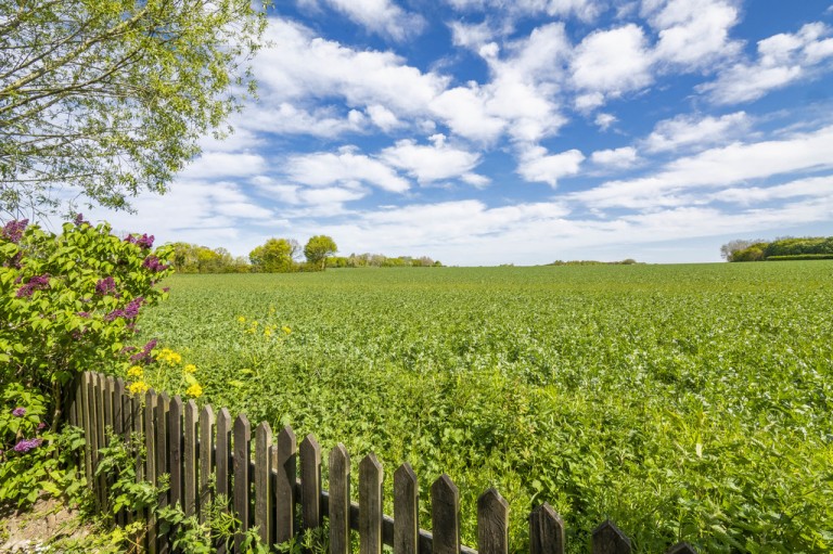 Images for Sudbury, Suffolk, Sudbury