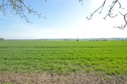 Images for Halstead, Essex, Halstead