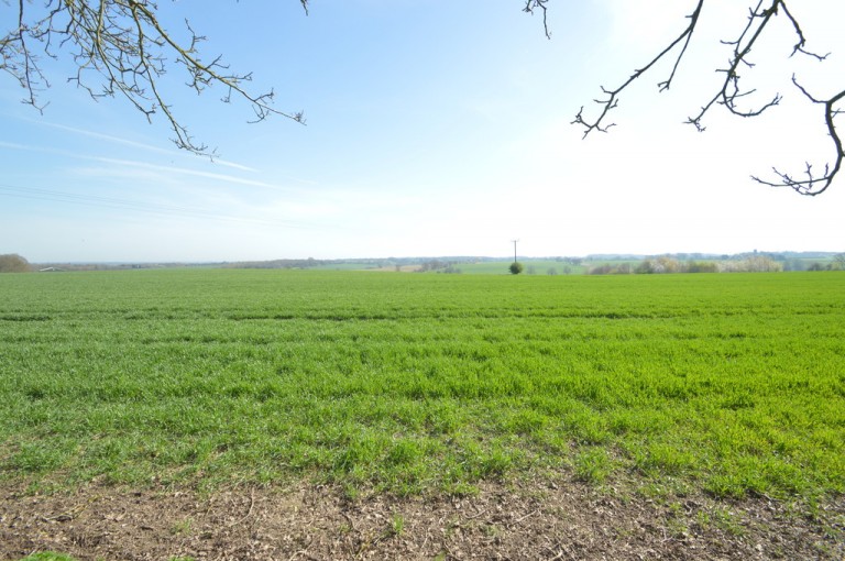 Images for Halstead, Essex, Halstead