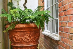 Images for Colne Engaine, Essex, Colchester