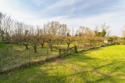 Images for Sudbury, Suffolk, Sudbury
