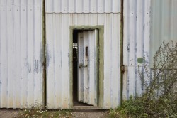 Images for Newmarket, Suffolk, Newmarket