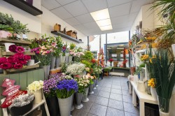 Images for Suffolk, Sudbury