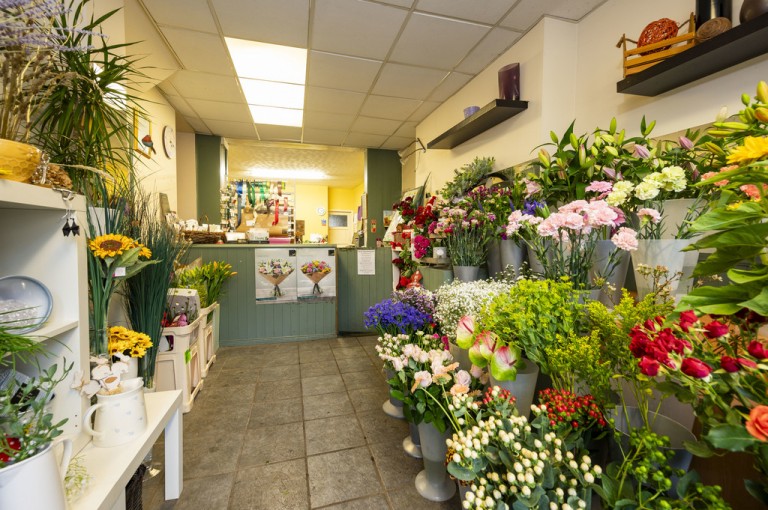 Images for Suffolk, Sudbury