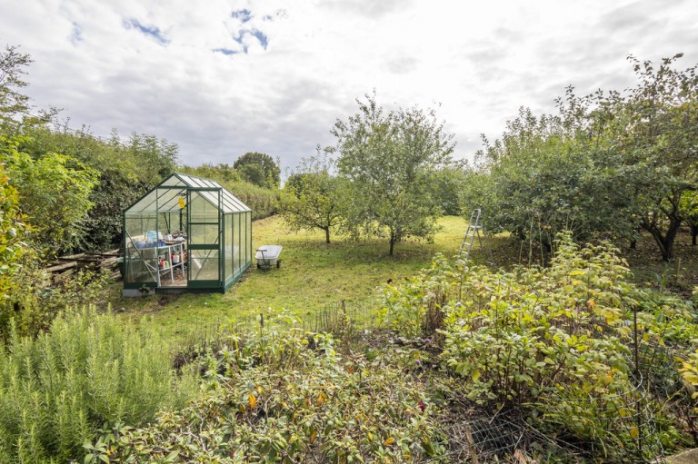 Images for Colchester, Essex, Colchester