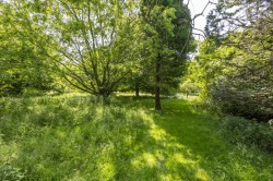 Images for Sudbury, Suffolk, Sudbury