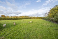 Images for Elmsett, Suffolk, Ipswich