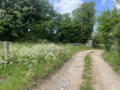 Click the photo for more details of Thorndon, Eye