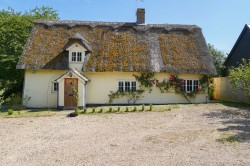Images for Newmarket, Suffolk, Newmarket