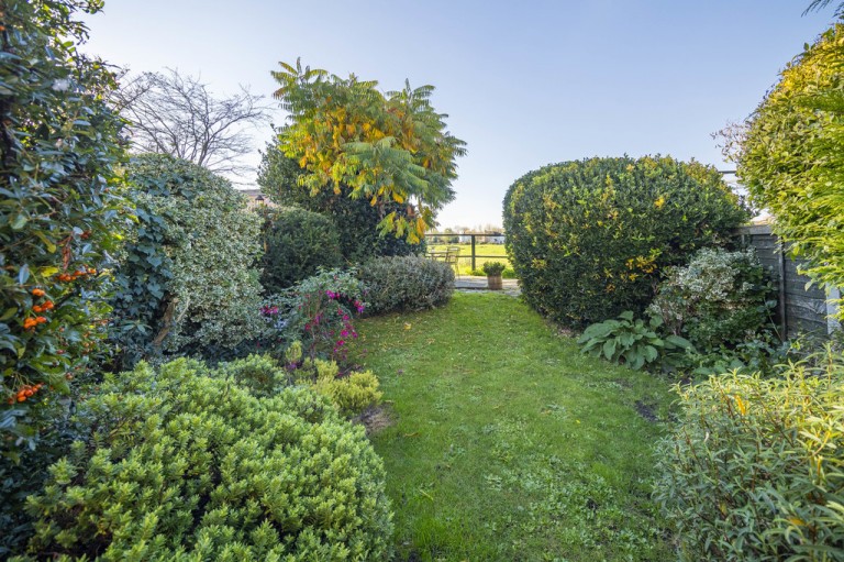 Images for Sudbury, Suffolk, Sudbury