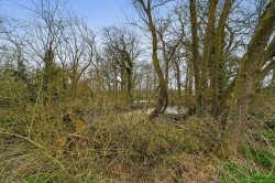 Images for Bury St. Edmunds