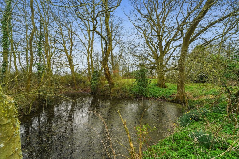 Images for Bury St. Edmunds