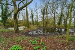 Images for Bury St. Edmunds
