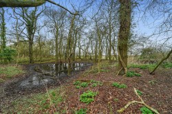 Images for Bury St. Edmunds