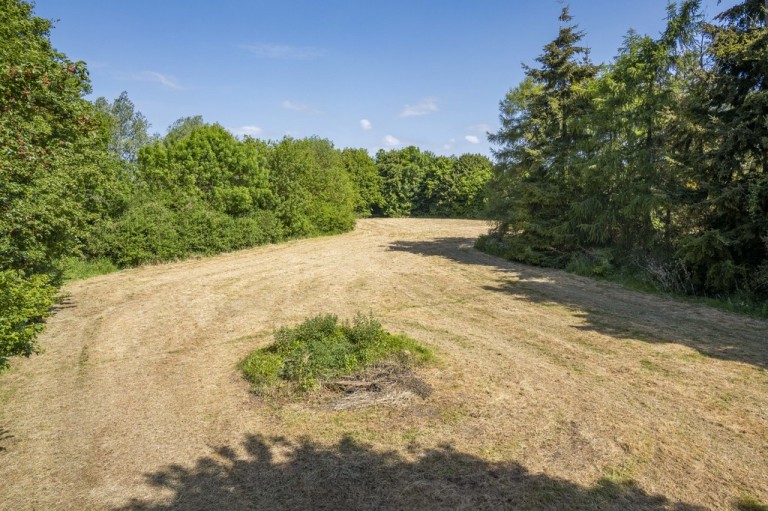 Images for Colchester, Essex, Colchester
