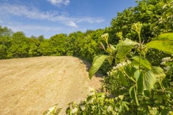 Images for Colchester, Essex, Colchester