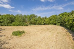 Images for Colchester, Essex, Colchester