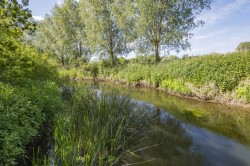 Images for Colchester, Essex, Colchester