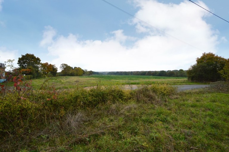 Images for Gosfield, Essex, Halstead