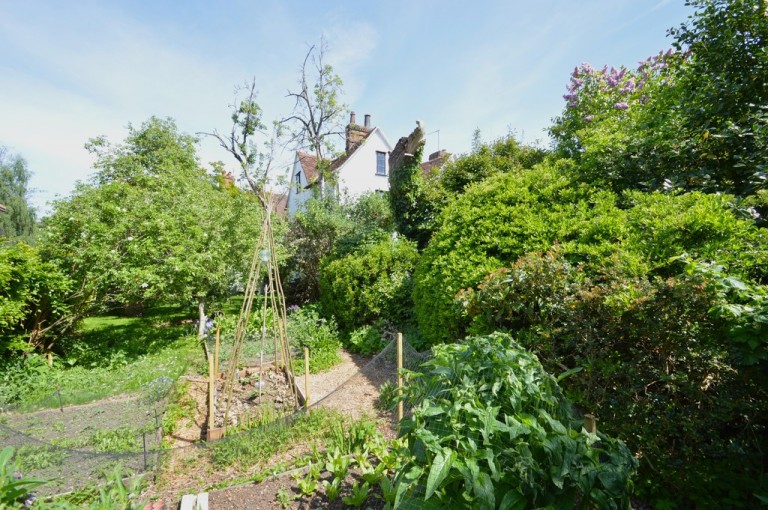 Images for Sible Hedingham, Essex, Halstead