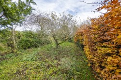 Images for Colchester, Suffolk, Colchester