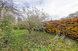 Images for Colchester, Suffolk, Colchester