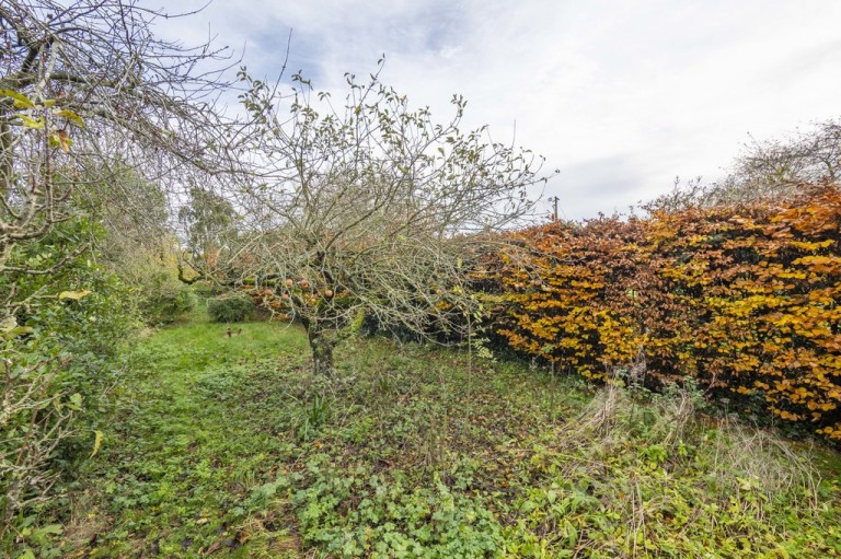 Images for Colchester, Suffolk, Colchester