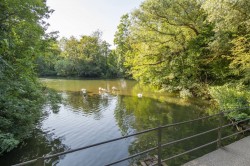 Images for Sudbury, Suffolk, Sudbury