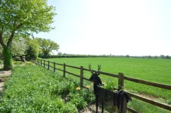 Images for Toppesfield, Essex, Halstead