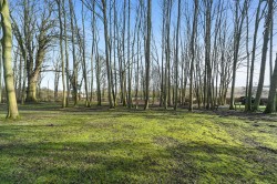 Images for Great Maplestead, Essex, Halstead
