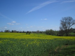 Images for Haverhill, Suffolk, Haverhill