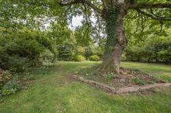 Images for Colchester, Essex, Colchester