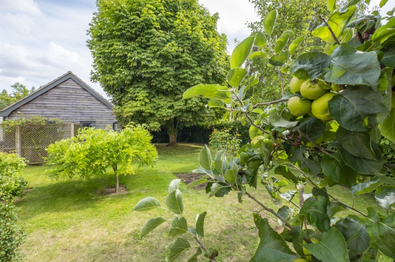 Images for Sudbury, Suffolk, Sudbury