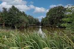 Images for Earls Colne, Essex, Colchester