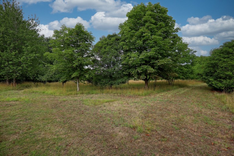 Images for Earls Colne, Essex, Colchester