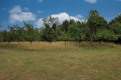 Images for Earls Colne, Essex, Colchester