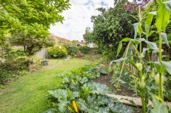 Images for Lavenham, Suffolk, Sudbury